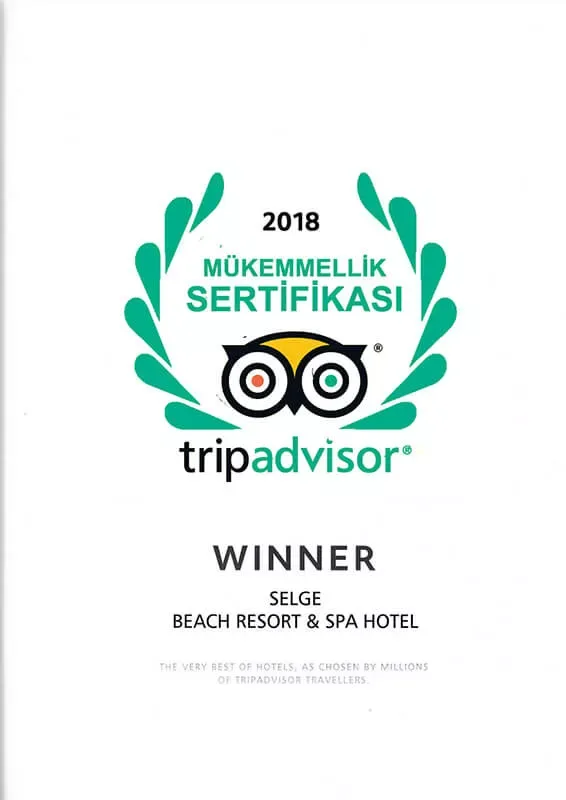 Ödüller & Sertifikalar görseli 6