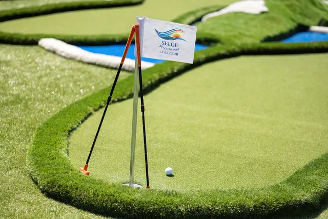 Mini Golf görseli 2