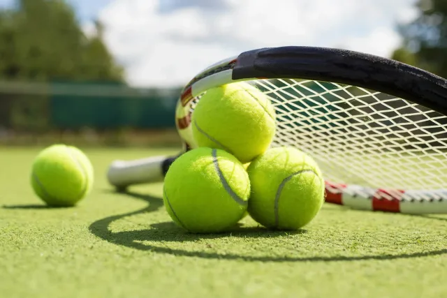 Tenis görseli 3