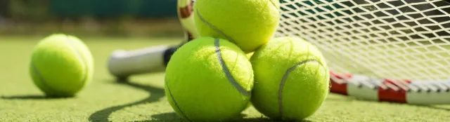 Tenis görseli 4